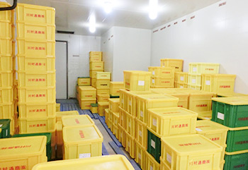 出荷