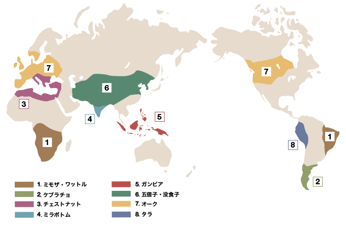 タンニンの生息地